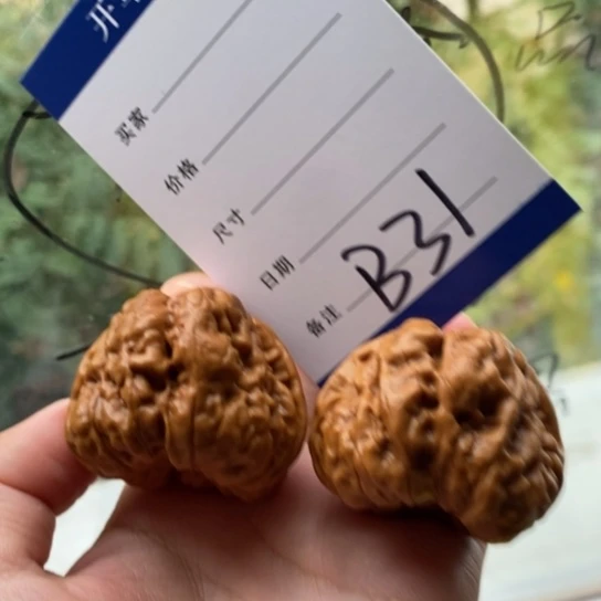 沈***牙文玩核桃把件43蛤蟆头