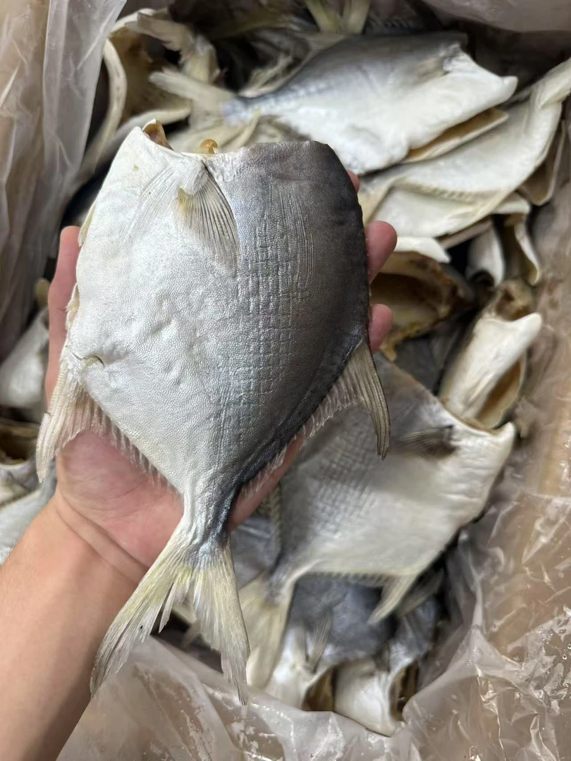 本港无头大金鲳鱼干包邮