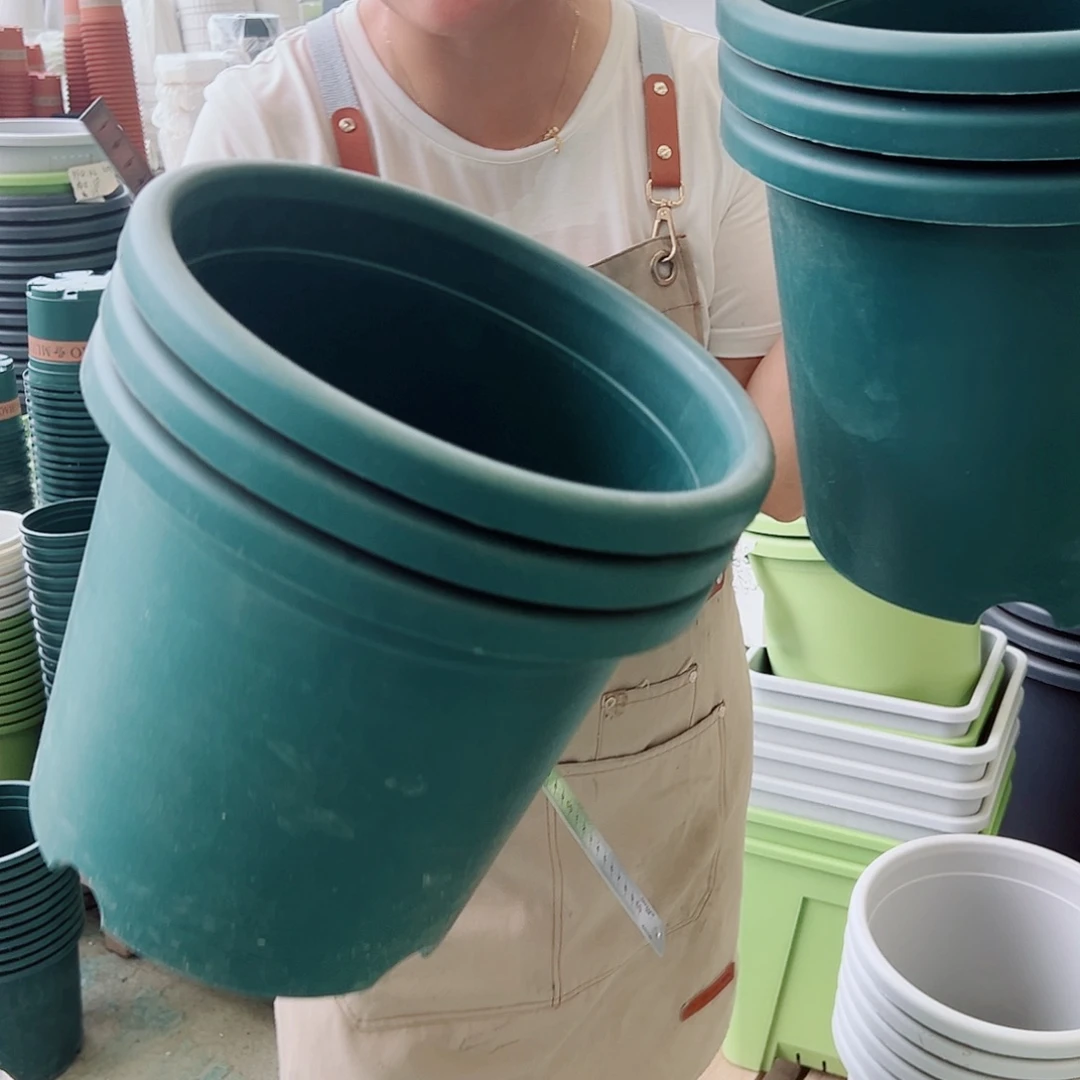 四季盆5#墨绿色6个无托