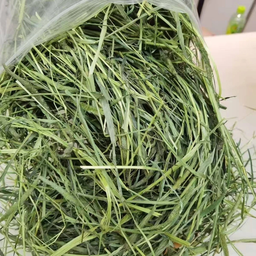 晒干2025提摩西草兔兔子荷兰猪食用粮食豚鼠饲料牧草干草兔粮
