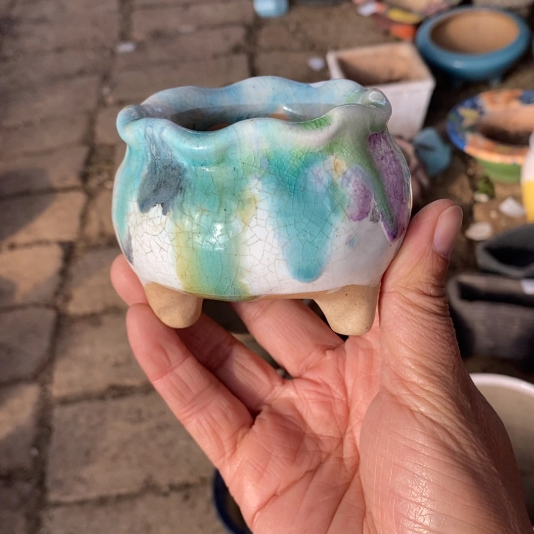 88号多肉盆口径6.6