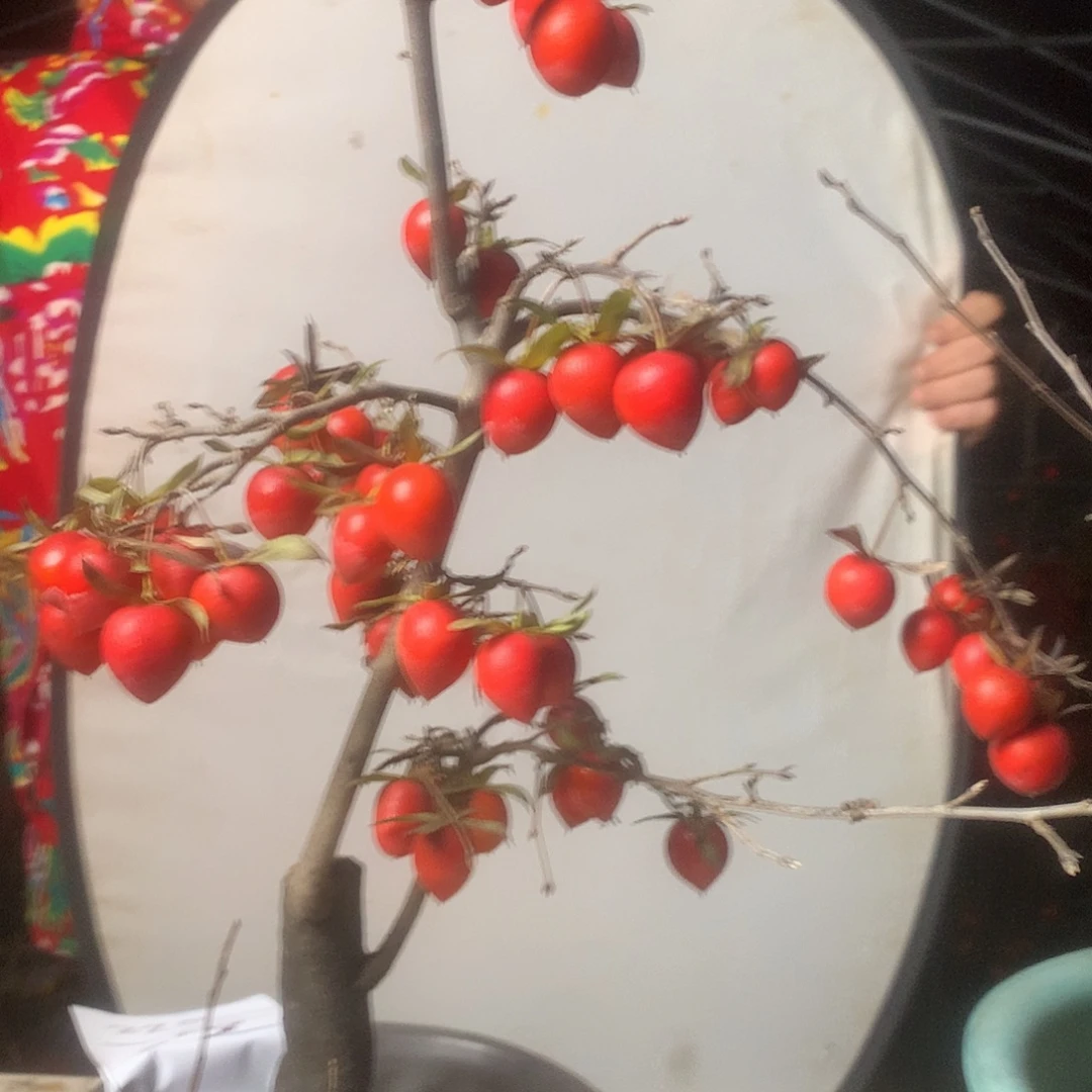 那***年无花朵老鸦的眼睛里