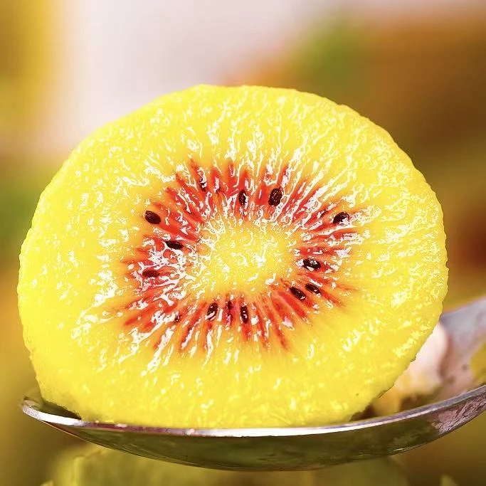 红心猕猴桃【东红5斤】四川眉山果园直销香甜多汁