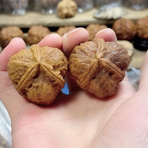 文玩核桃把件玄武索磕尖彩阴37+