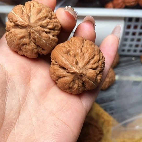 吊坠文玩核桃霸王龙
