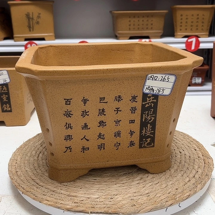 紫砂花盆蛇年大吉