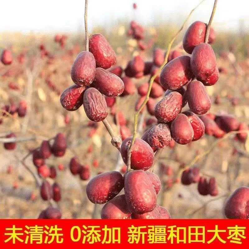 山海【新疆直发】和田大枣红枣肉厚核小饱满骏枣可煮粥煲汤肆
