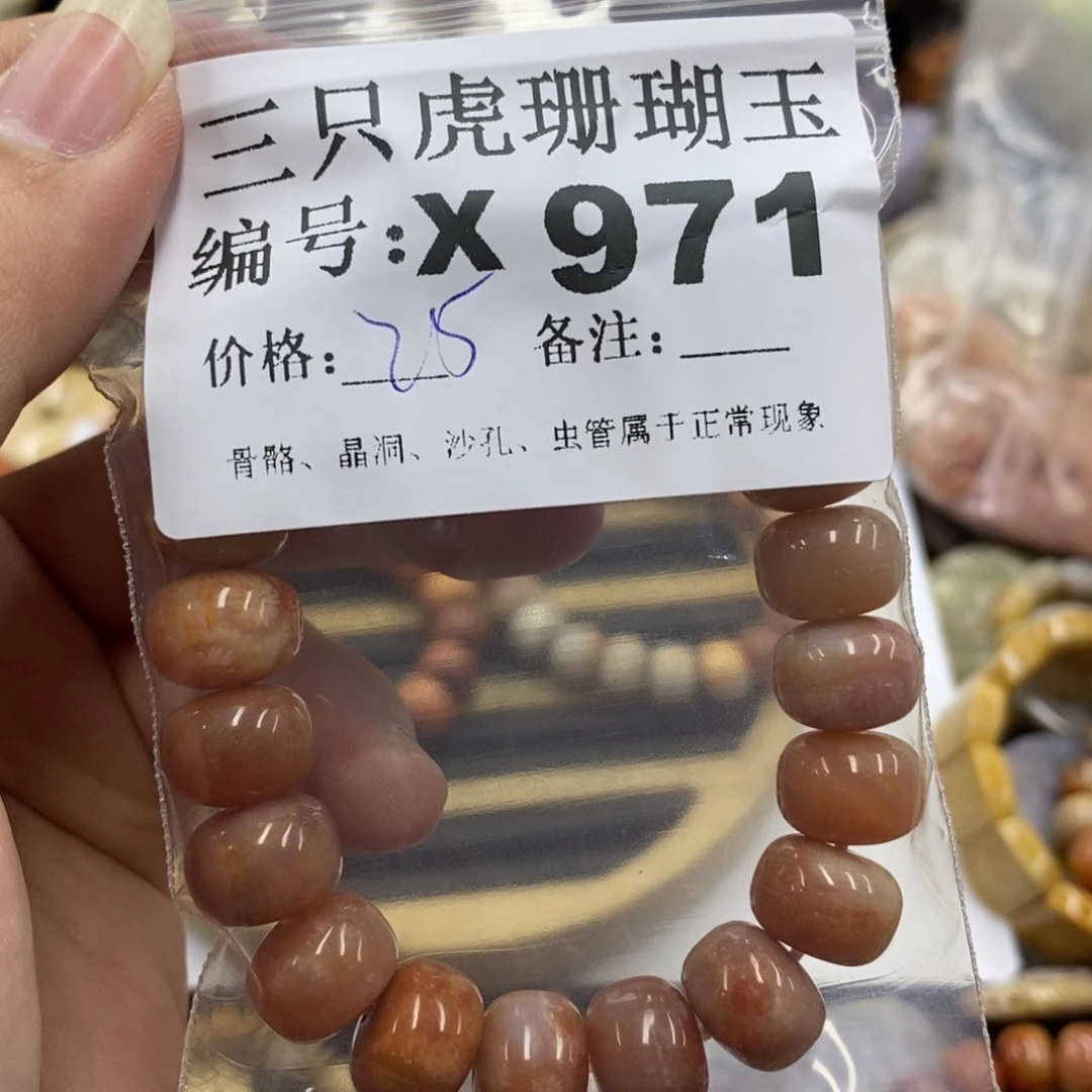 硅化珊瑚（珊瑚玉）未镶嵌X鱼