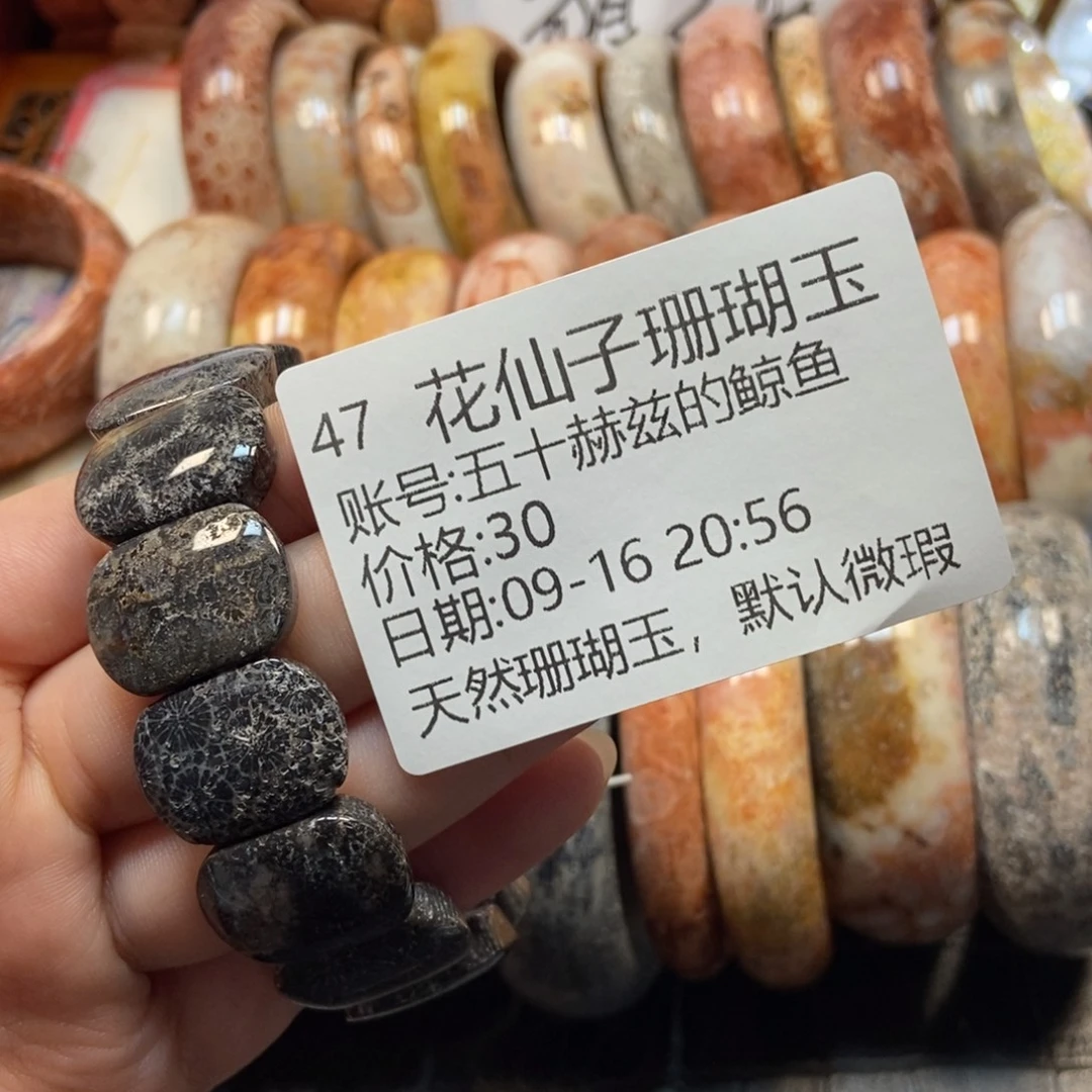 五***鱼未镶嵌硅化珊瑚（珊瑚玉）珠宝半成品47
