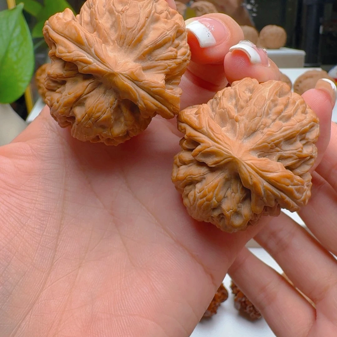 把件核桃42肚子红锦鲤