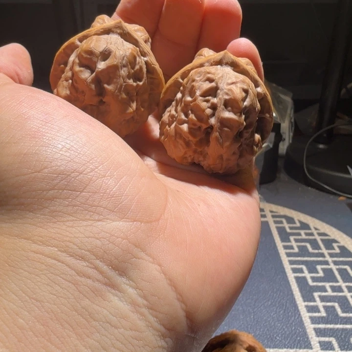 猴头核桃把件三角金蟾