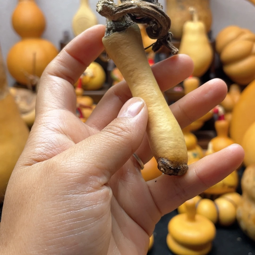 马***志大自然的秘密第十一章第一章