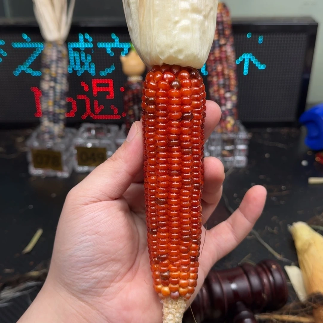 柏香籽/百香籽吊坠?****?