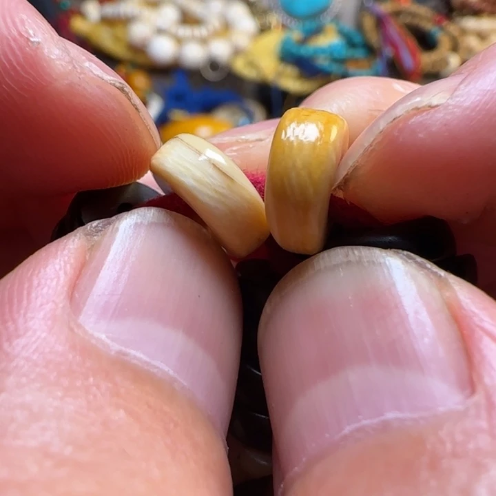 柏香籽/百香籽吊坠