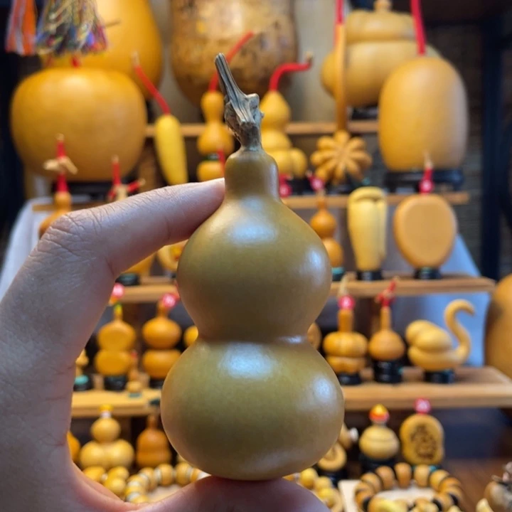 未***央天然葫芦自然生长