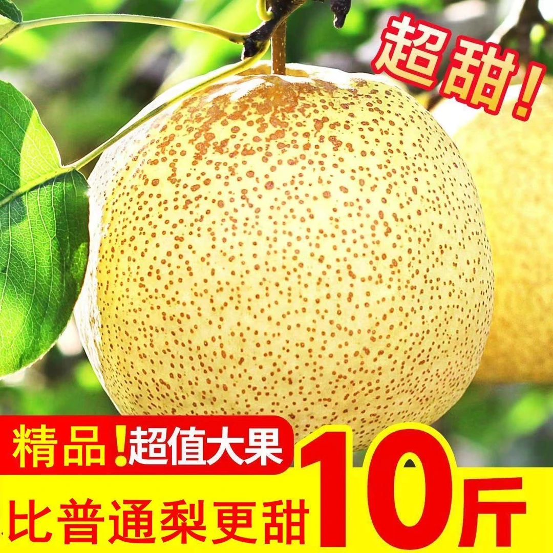 爆甜新鲜乾县酥梨贡梨非砀山酥梨雪梨梨子鸭梨皇冠梨秋月梨水果