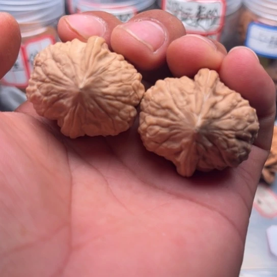 把件文玩核桃归家