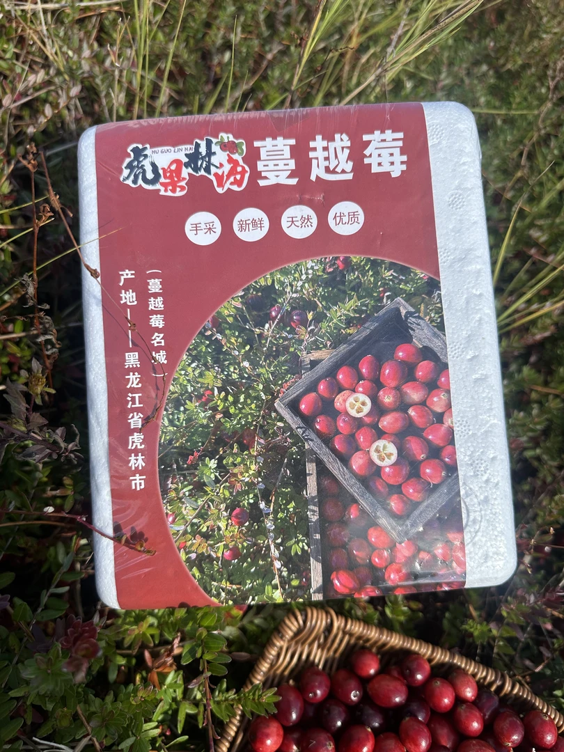 虎林原产地蔓越莓鲜果 500克/件 表面有斑点为蔓越莓正常表现