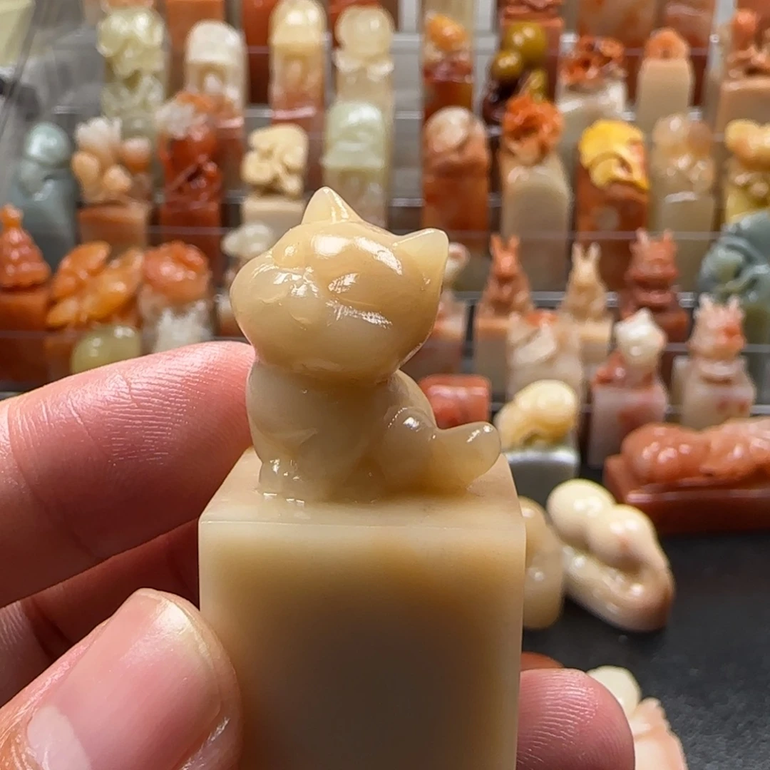 老挝石猫猫 2.3×4.6