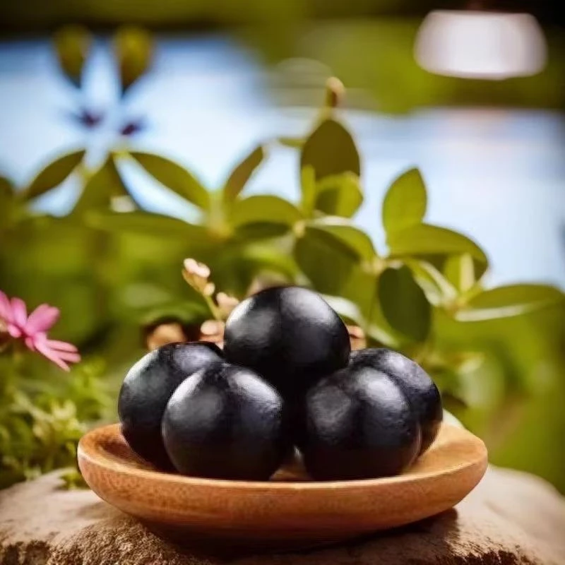 【吉林特产】草本成分麓制膏，1包4颗1颗10克，拍3发4，拍5发7！