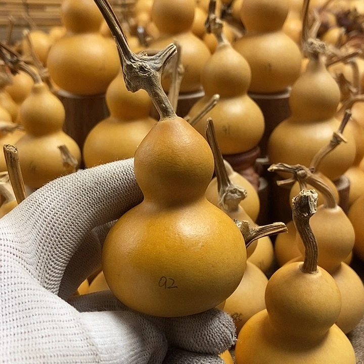 文玩葫芦 完美主义者 慎拍92