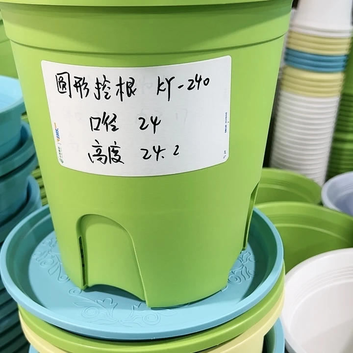 正品圆形控根口24高24果绿色8个无托