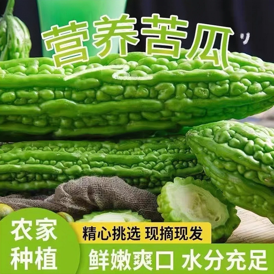 新鲜苦瓜包邮山东现摘农家自种蔬菜凉瓜当季新鲜现摘整箱批发