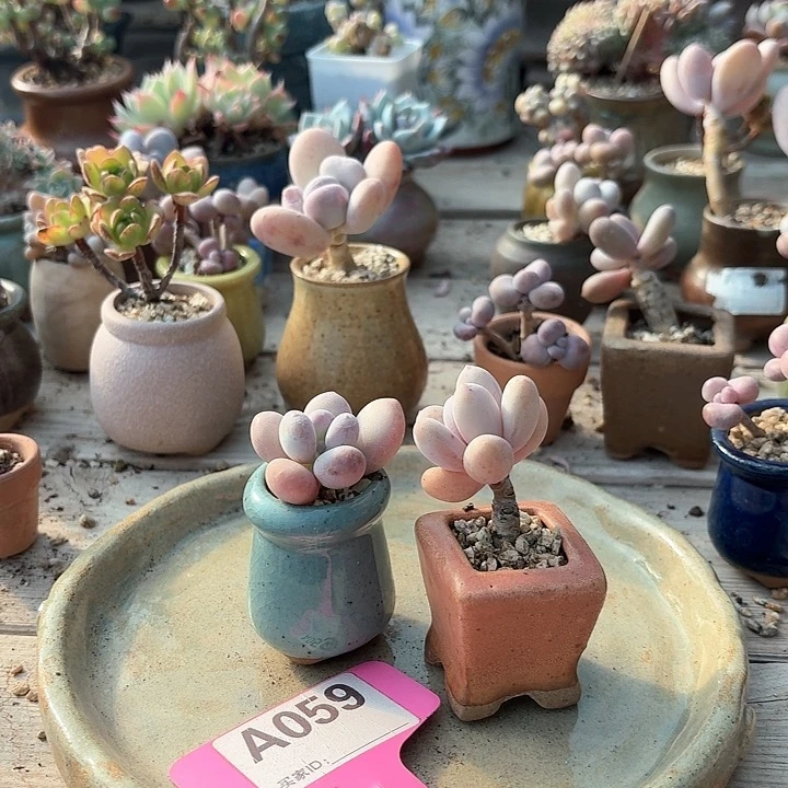 多**亿ch d d f g f s fu 059