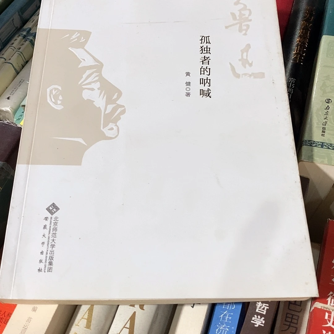 孤独者的呐喊…………………………
