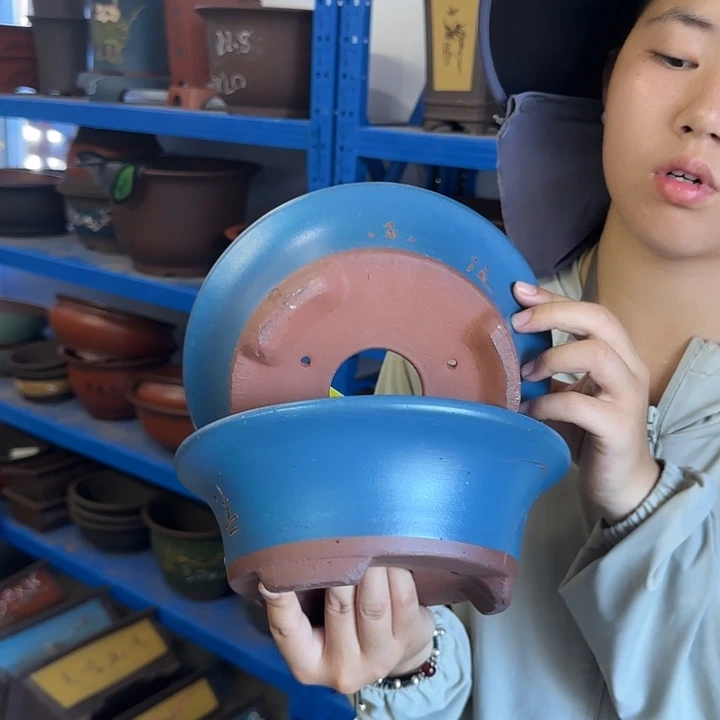 23+23蓝票口花盆花盆花盆