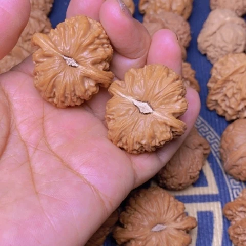 【闪购商品】文玩核桃吊坠E****✨白狮子37