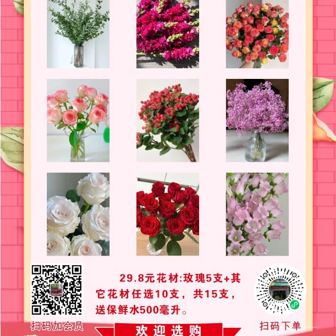 15支鲜花（含送500毫升保鲜水，买5份送1份）
