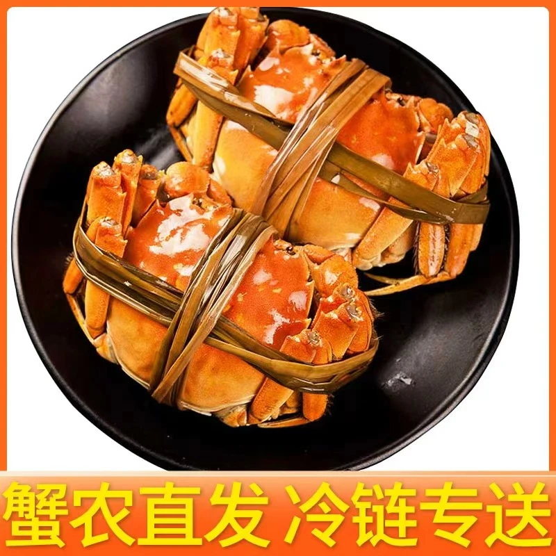 【活蟹】江苏大闸蟹恭公蟹4.0-3.7两 母蟹3.0-2.7两 8只送2只 京东顺丰冷链