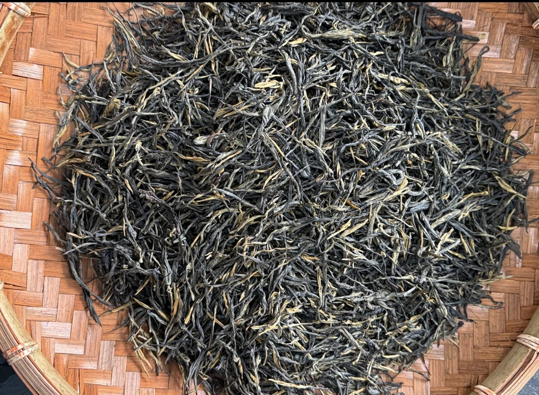 2025年高山松针红茶古树晒红250g