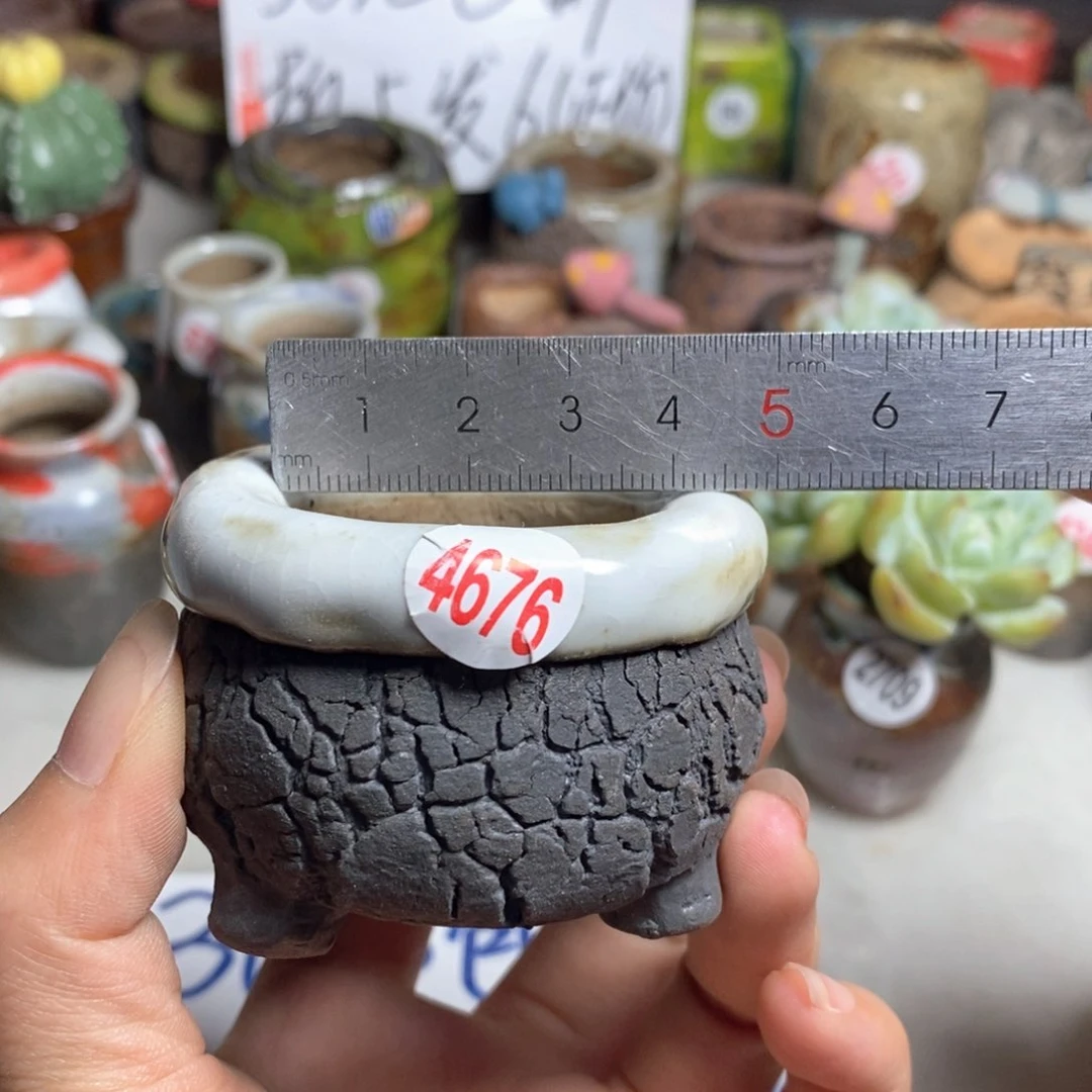 拍5送一个小礼物