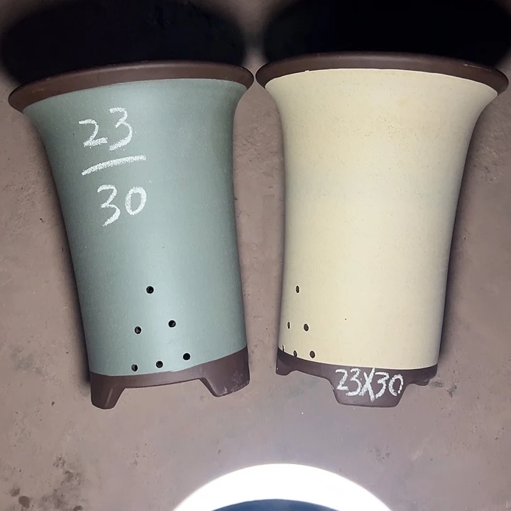周深周深周深周深周深