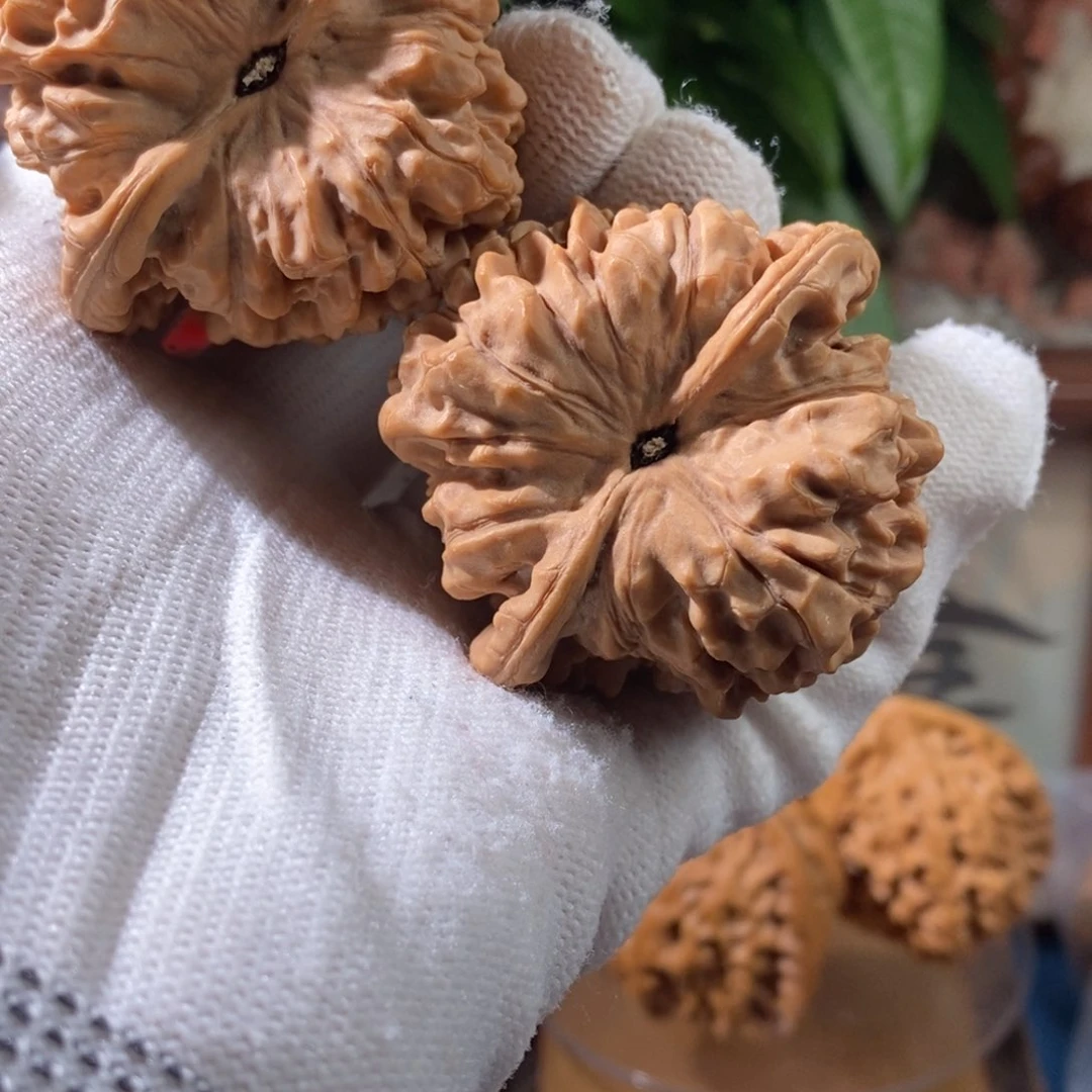 文玩核桃吊坠珍****?官帽