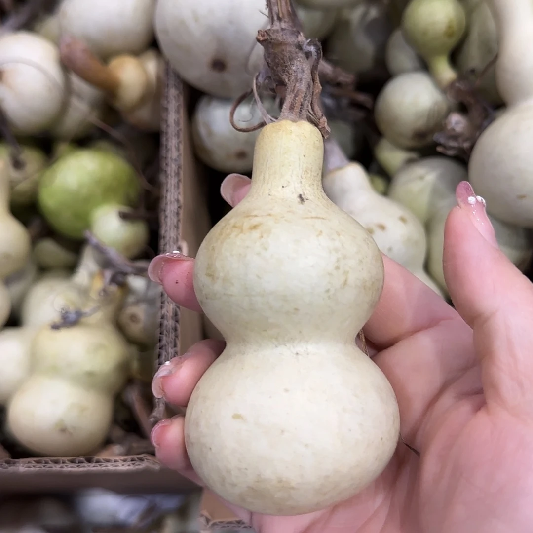 o***6葫芦v刚刚哈哈哈GVv哈哈叫