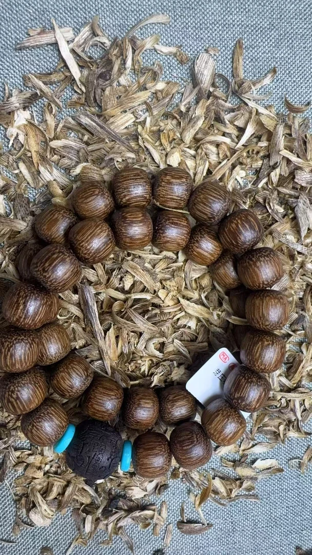 增香沉香木【乐乐甄选】a544沉香木手链多样性发其一