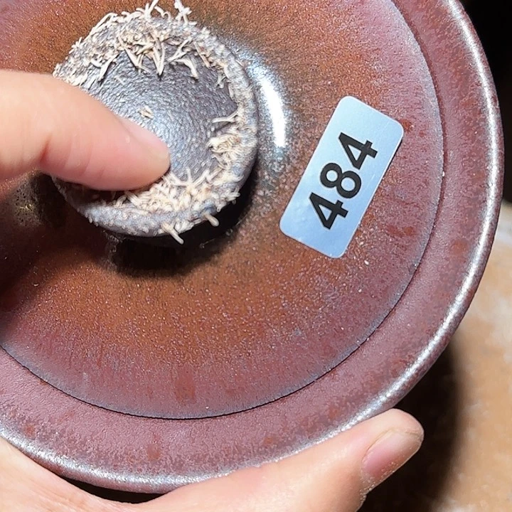 茶盏你要好好休息好自己知道吧