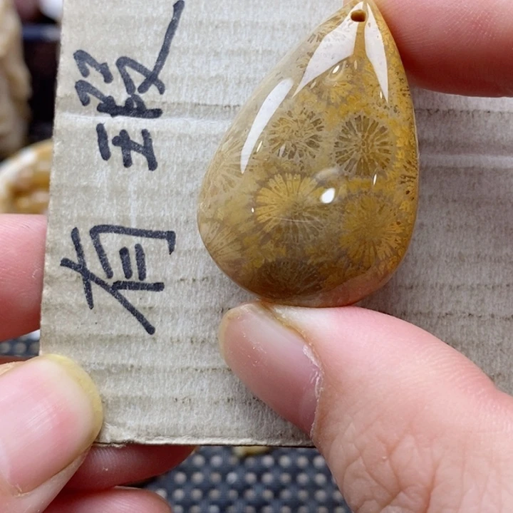 硅化珊瑚（珊瑚玉）颈饰未镶嵌