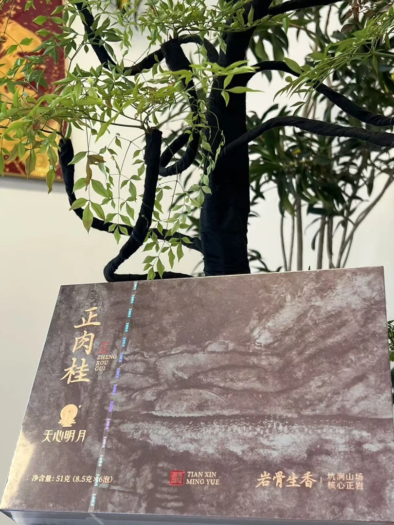 天心明月 正肉桂礼盒装 6泡 正岩风骨 桂韵典范
