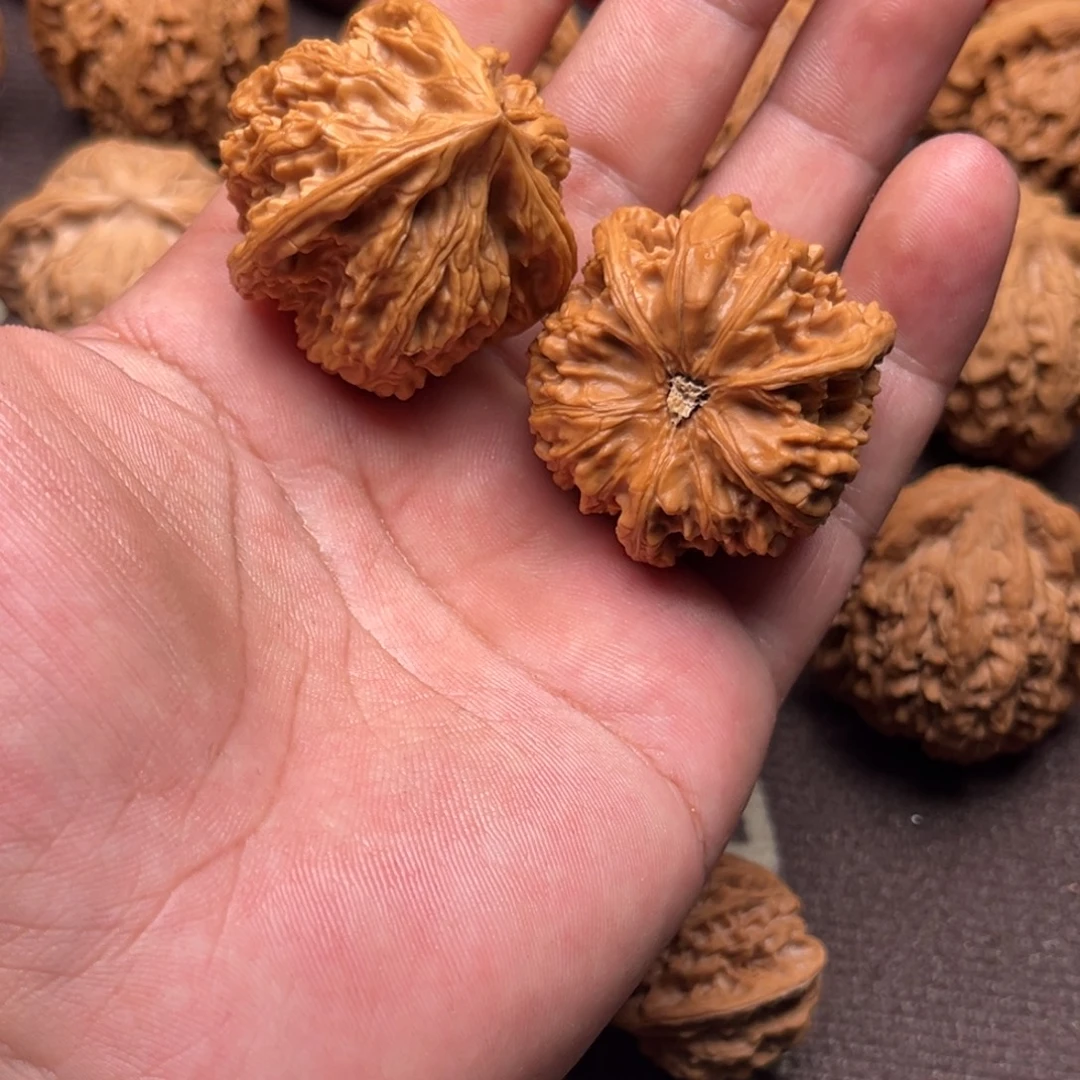 K***i核桃文山111111111111