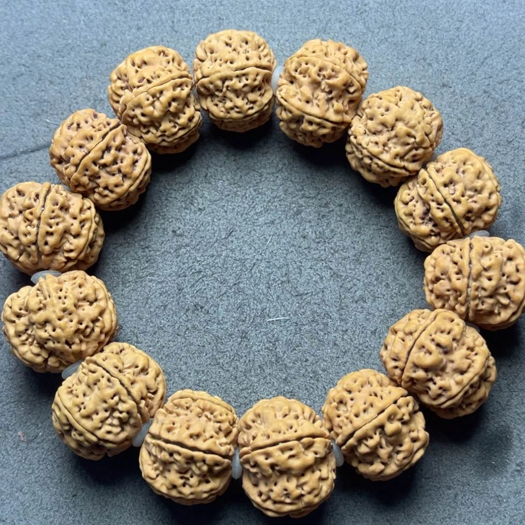 菩提1号金刚菩提原生态六瓣23