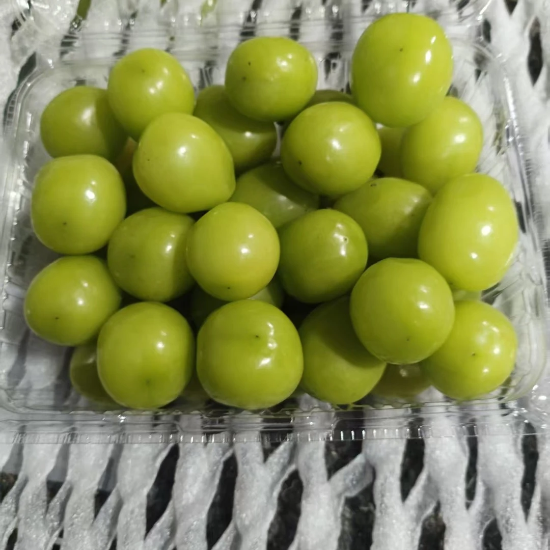 新鲜阳光玫瑰葡萄当季水果顺丰包邮