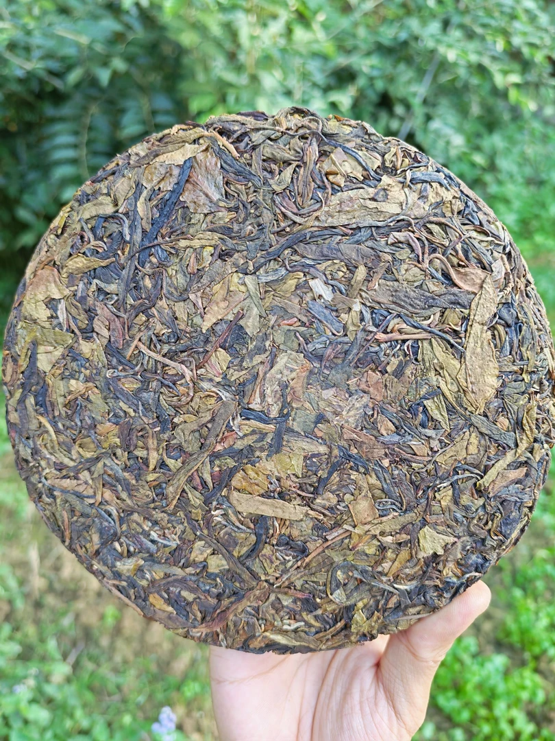 2021年 麻黑石门坎古树黄金叶 头春头采 生茶 357克/饼（带茶样）