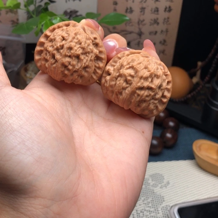 文玩核桃把件39尺寸白狮子闷白