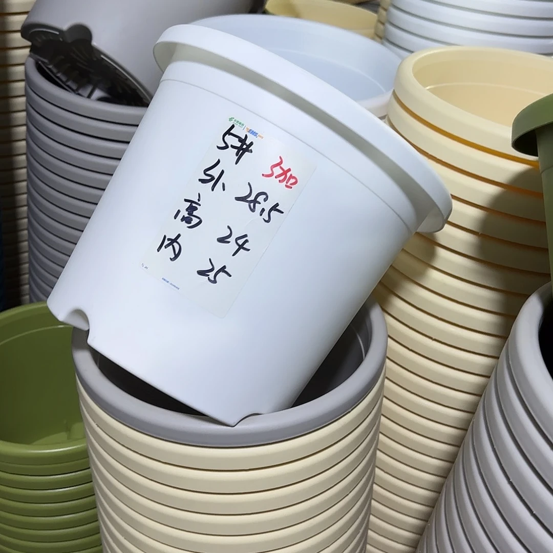 微瑕5号无托6个，白