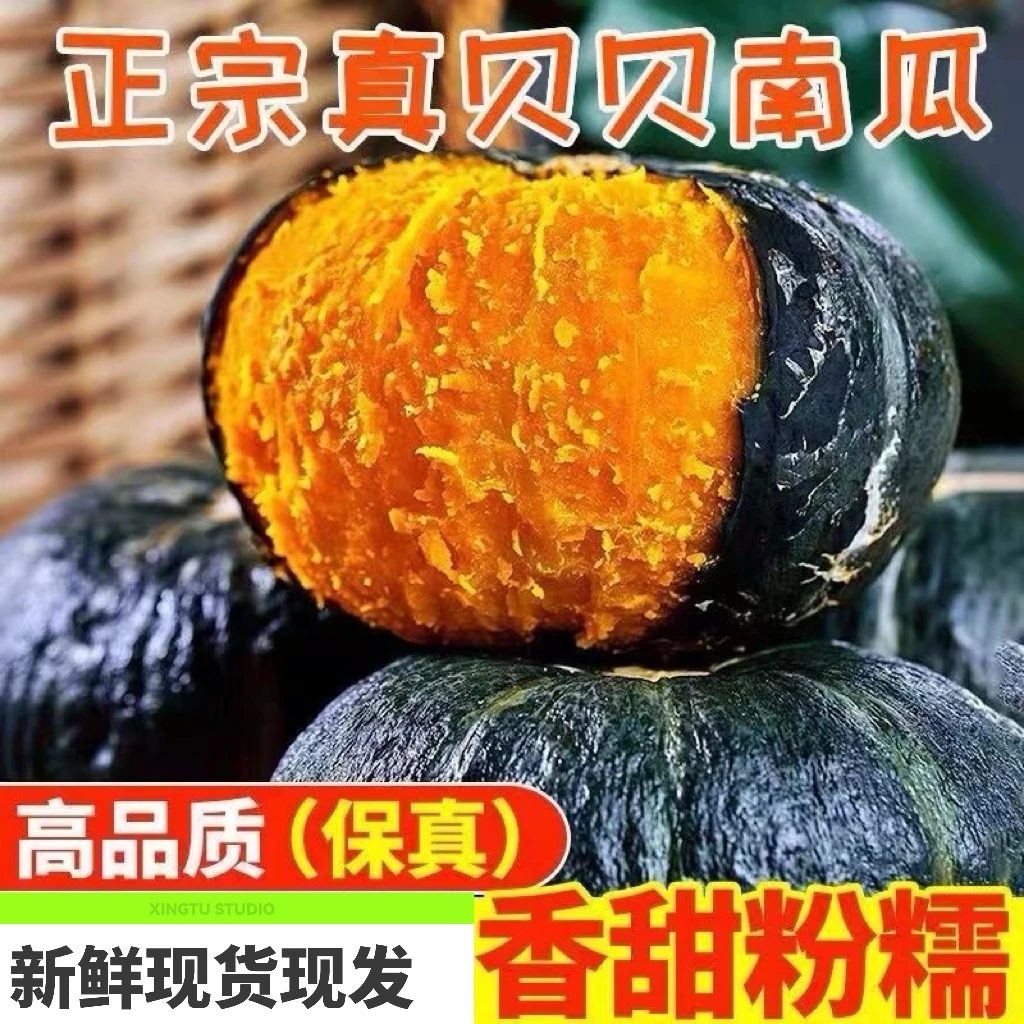 【坏过包赔】清丰县正宗贝贝南瓜板栗味粉糯香甜适合婴儿辅食煲粥