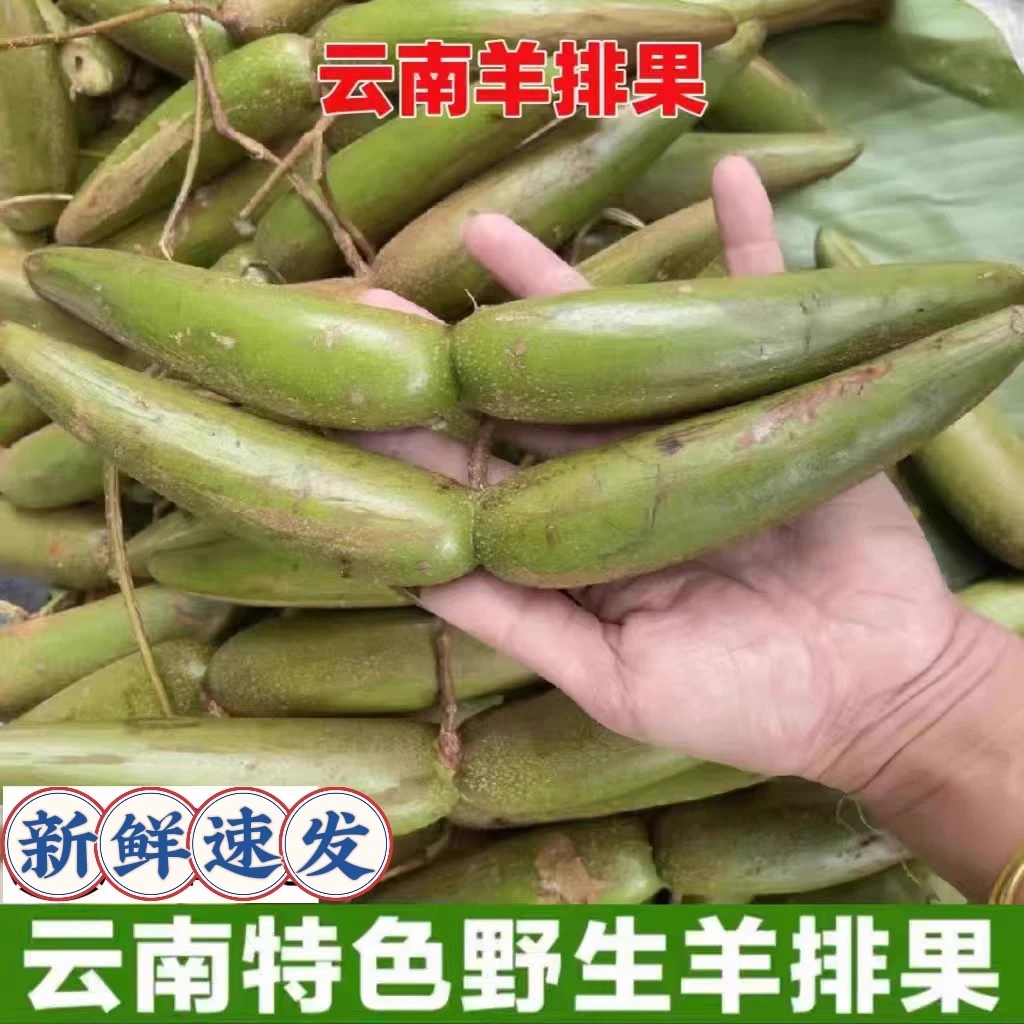 羊排果云南酸果酸木瓜酸多依果蘸辣椒面500g孕妇水果现摘产地直发